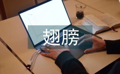 彩色的翅膀讀后感