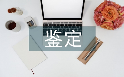 傷殘等級鑒定申請書