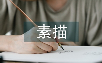 探析素描教學中的誤讀以及改革方案