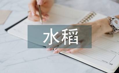 水稻栽培農(nóng)業(yè)技術(shù)要點