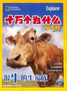 大自然探索