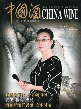 家庭影院技術(shù)