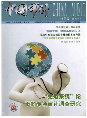 中國(guó)審計(jì)期刊