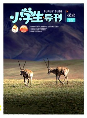 小學(xué)生導(dǎo)刊·中年級