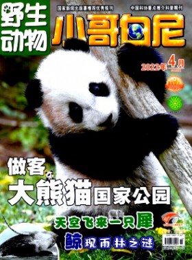 小哥白尼·野生動(dòng)物畫報(bào)