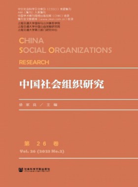 中國社會組織研究